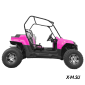 Багги HOOLEOX 300