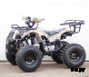 Квадроцикл STALKER 125 Lux