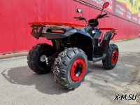 КВАДРОЦИКЛ PROMAX IRBI 250 LUX С ПСМ